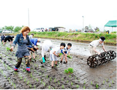 70人が田植えに挑戦　男山の「俺の酒を造る会」